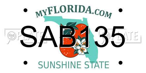 SAB135 Florida License Plate