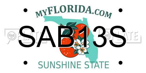 SAB13S Florida License Plate