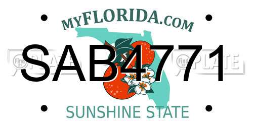 SAB4771 Florida License Plate