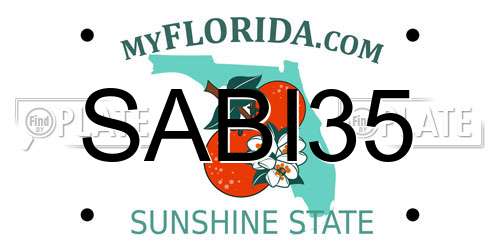 SABI35 Florida License Plate
