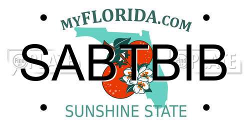 SABTBIB Florida License Plate