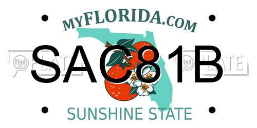 SAC81B Florida License Plate
