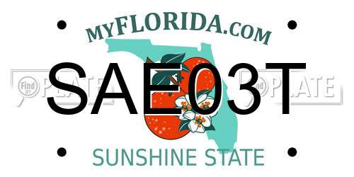 SAE03T Florida License Plate