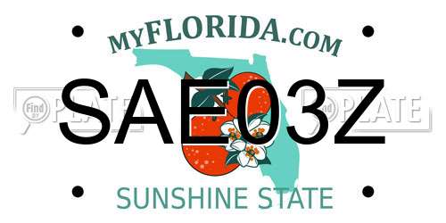 SAE03Z Florida License Plate