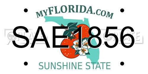 SAE1856 Florida License Plate