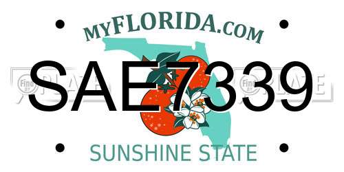 SAE7339 Florida License Plate