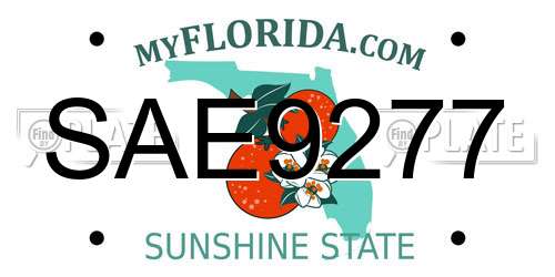 SAE9277 Florida License Plate
