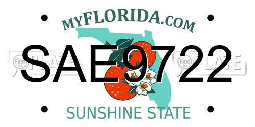 SAE9722 Florida License Plate