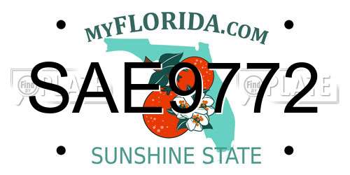 SAE9772 Florida License Plate