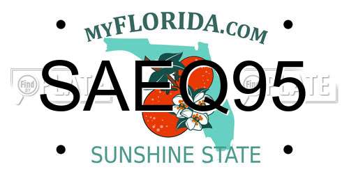 SAEQ95 Florida License Plate