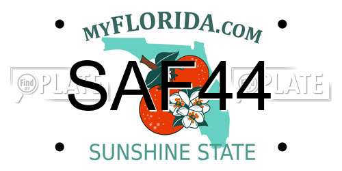 SAF44 Florida License Plate