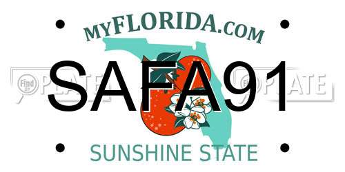 SAFA91 Florida License Plate