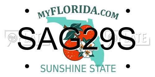 SAG29S Florida License Plate