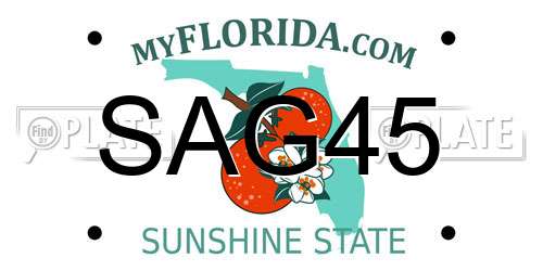 SAG45 Florida License Plate