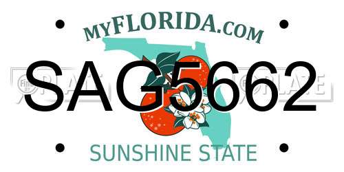 SAG5662 Florida License Plate