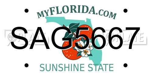 SAG5667 Florida License Plate