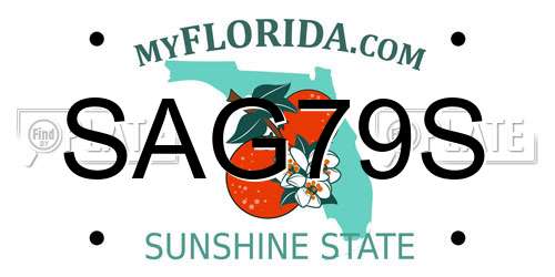 SAG79S Florida License Plate