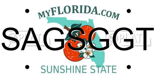 SAGSGGT Florida License Plate