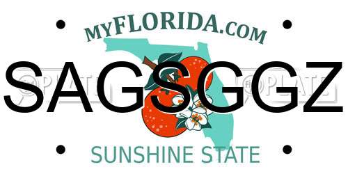 SAGSGGZ Florida License Plate