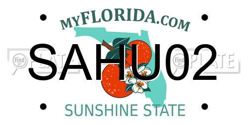 SAHU02 Florida License Plate