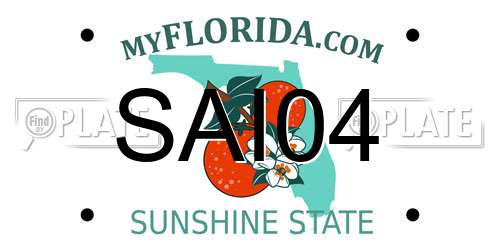 SAI04 Florida License Plate