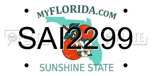 SAI2299 Florida License Plate