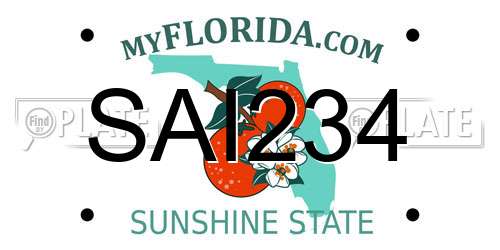 SAI234 Florida License Plate