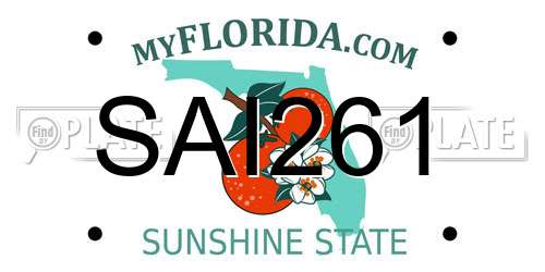 SAI261 Florida License Plate
