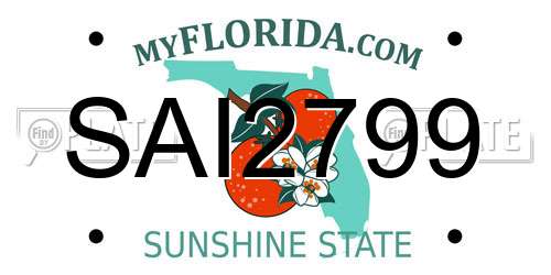 SAI2799 Florida License Plate