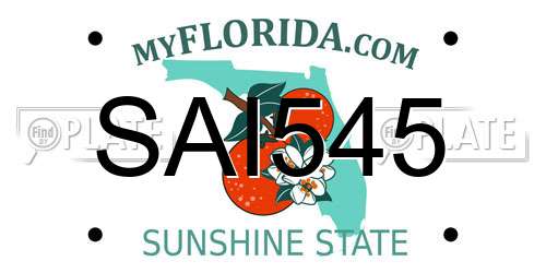 SAI545 Florida License Plate