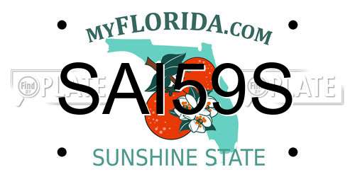 SAI59S Florida License Plate