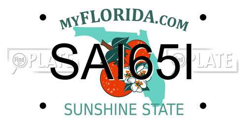 SAI65I Florida License Plate
