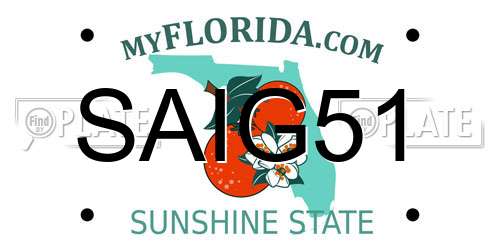 SAIG51 Florida License Plate
