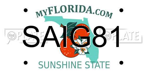 SAIG81 Florida License Plate