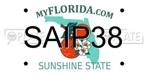 SAIP38 Florida License Plate