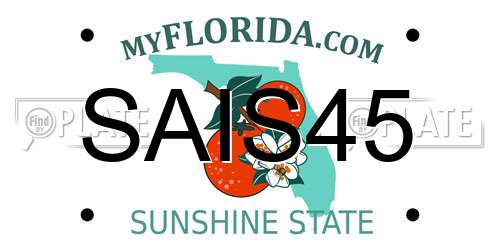 SAIS45 Florida License Plate