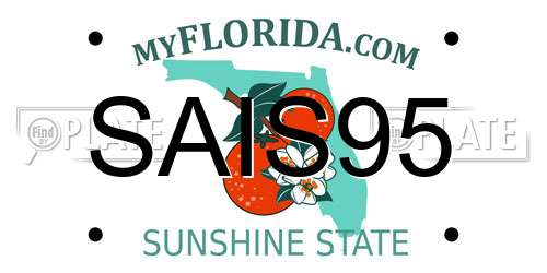 SAIS95 Florida License Plate