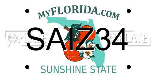 SAIZ34 Florida License Plate