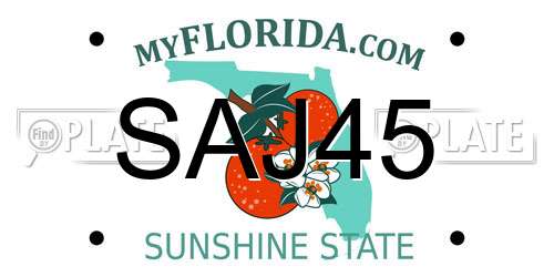 SAJ45 Florida License Plate