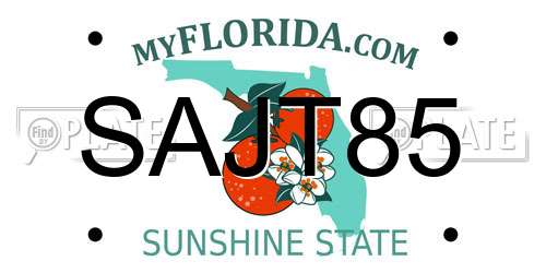 SAJT85 Florida License Plate