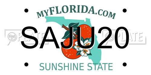 SAJU20 Florida License Plate