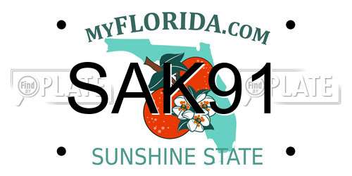 SAK91 Florida License Plate