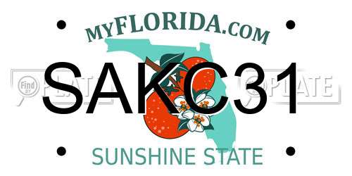 SAKC31 Florida License Plate