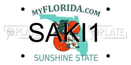 SAKI1 Florida License Plate