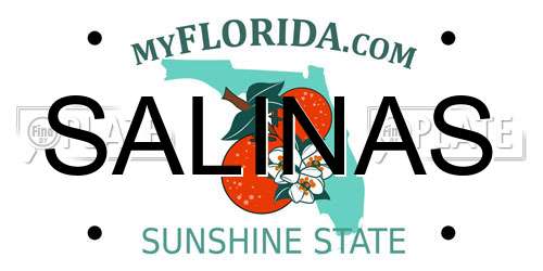 SALINAS Florida License Plate