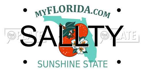 SALLTY Florida License Plate