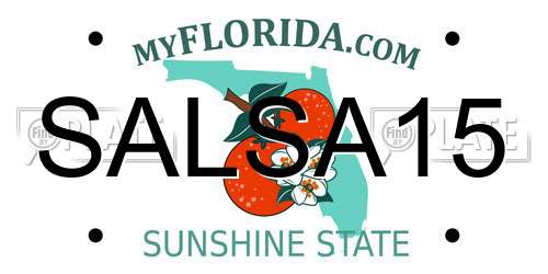 SALSA15 Florida License Plate