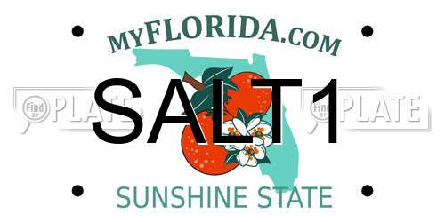 SALT1 Florida License Plate