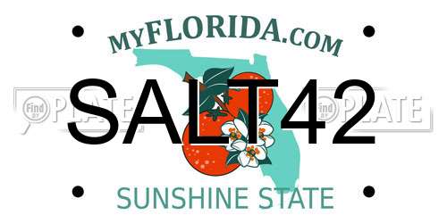SALT42 Florida License Plate