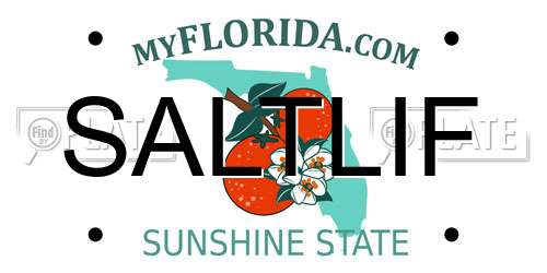 SALTLIF Florida License Plate